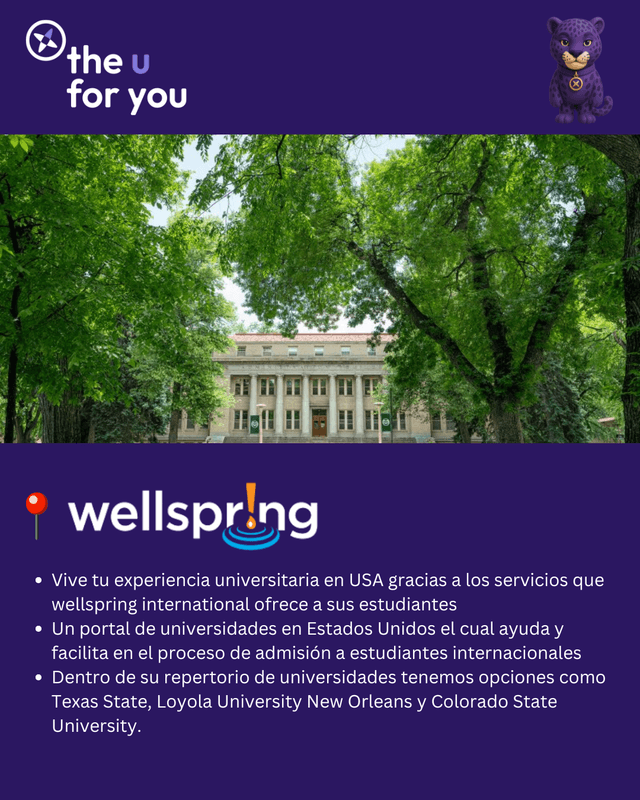 Flyer 3
