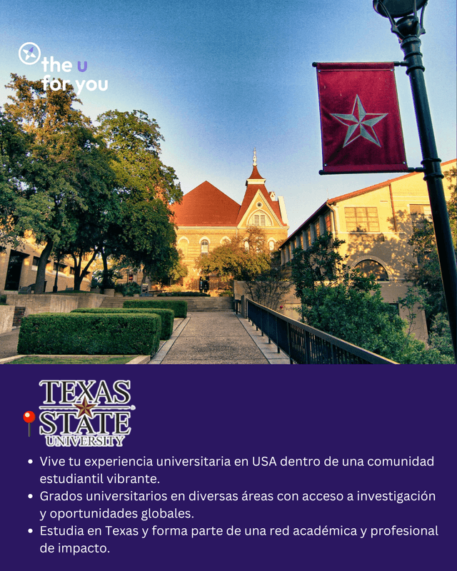 Flyer 3
